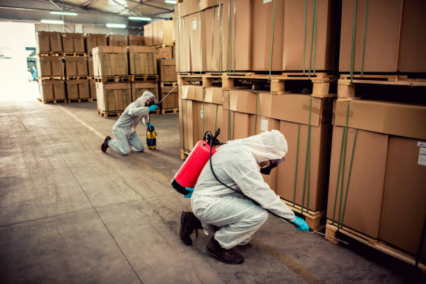 Best Affordable Pest Control Services  in Somerville, TX