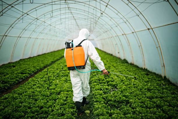 Pest Prevention Services in Somerville, TX
