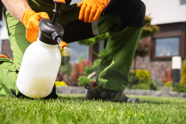 Best Residential Pest Control  in Somerville, TX