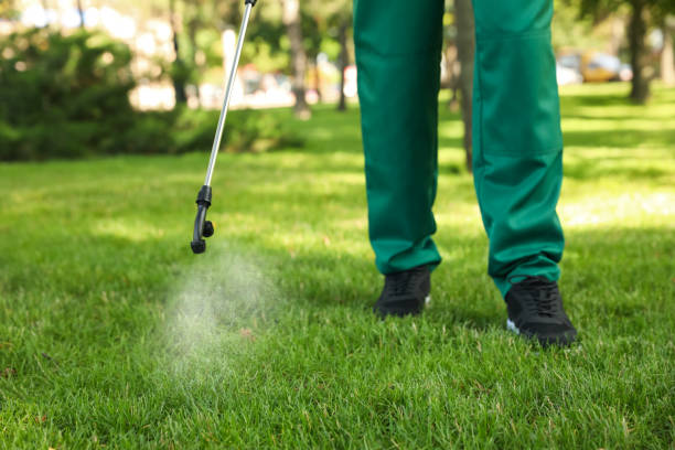 Best Wasp Removal Services  in Somerville, TX