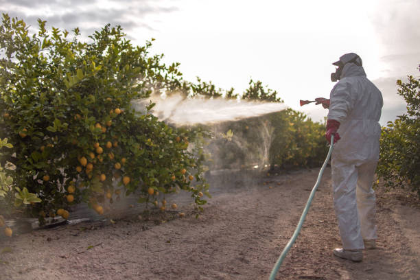 Best Pest Control Near Me in Somerville, TX