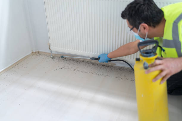 Best Flea Control Services  in Somerville, TX