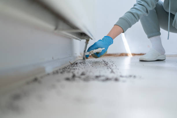 Best Best Pest Control Companies  in Somerville, TX